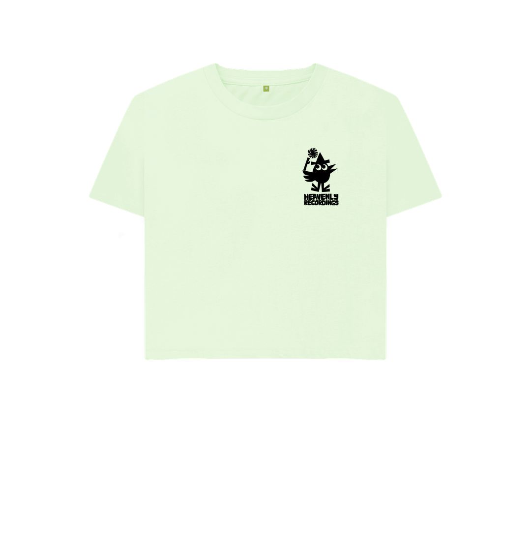 Pastel Green Adam Higton Bird - Black Logo - Boxy Tee